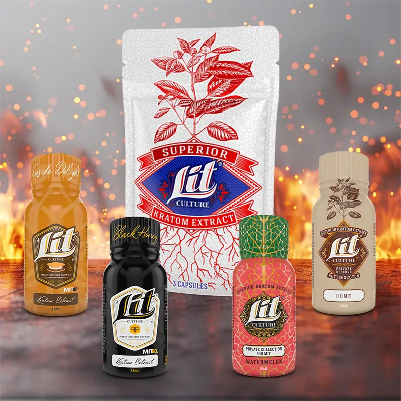 Lit Culture Bundle