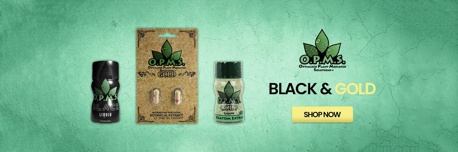 OPMS Black & Gold banner